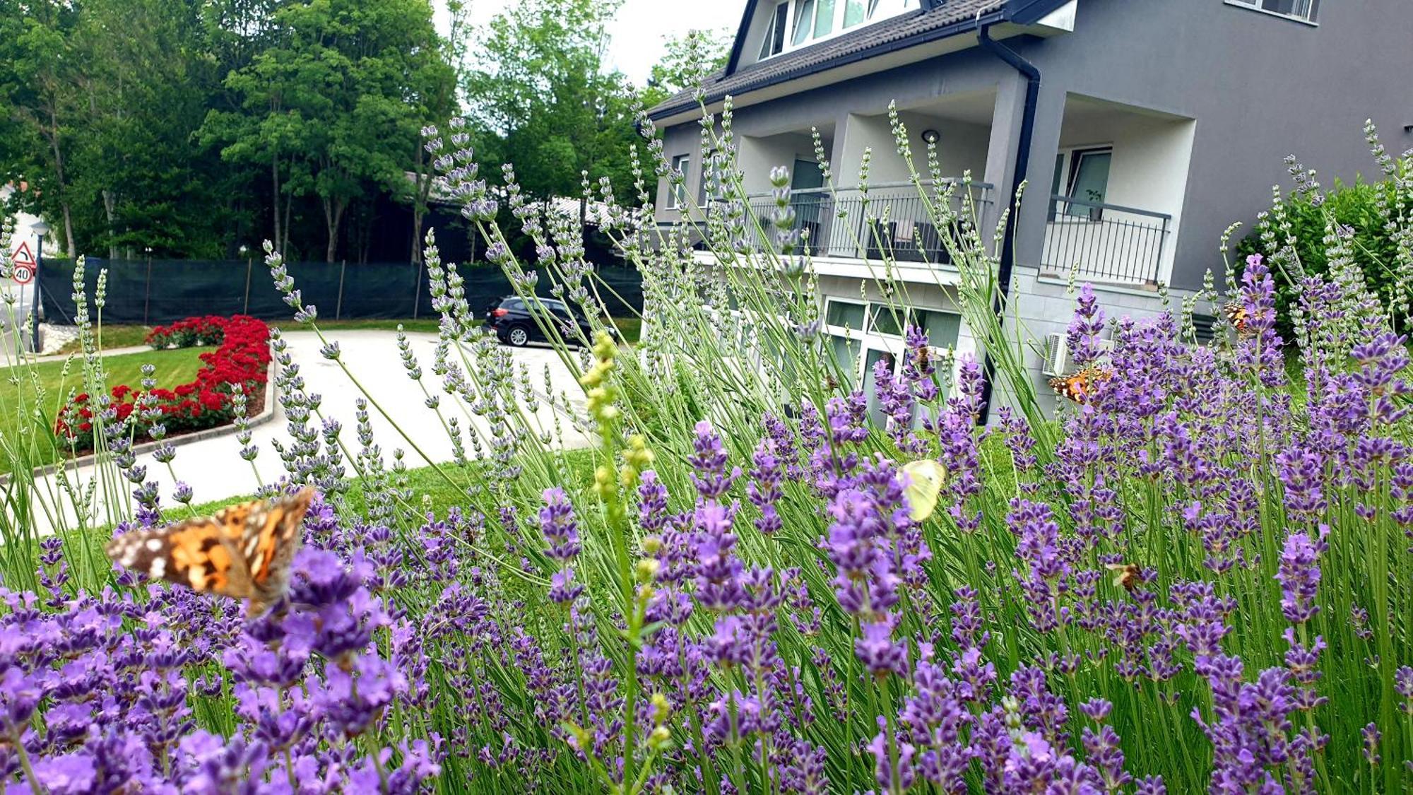 Apartmani Sanja Krapinske Toplice Exterior foto
