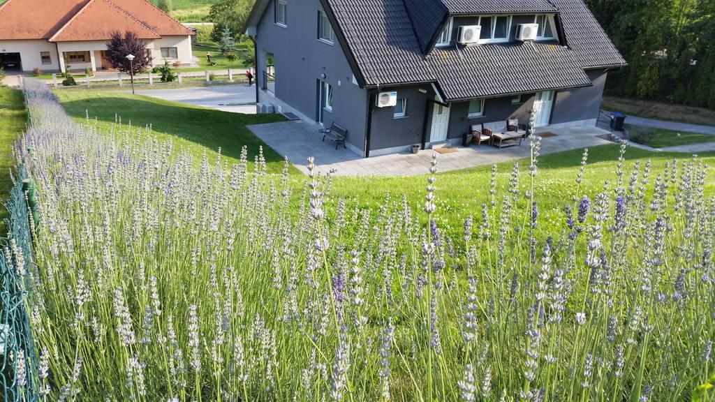 Apartmani Sanja Krapinske Toplice Exterior foto